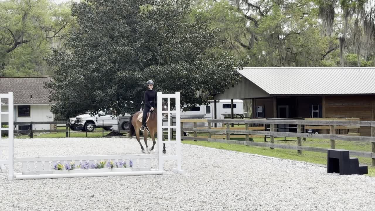 Dyblu Tiny | 2021 | 13.1h | Welsh Pony | Gelding