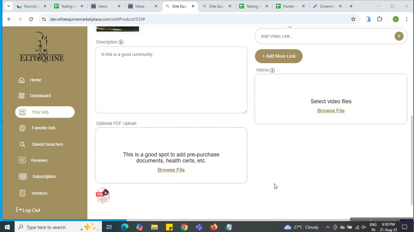 Horse-Test-27Feb | 1990 | Below 11h | new-horse-27feb | Gelding