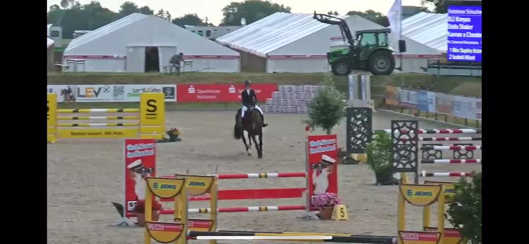 Kanyan | 2016 | 17h | Oldenburg | Gelding