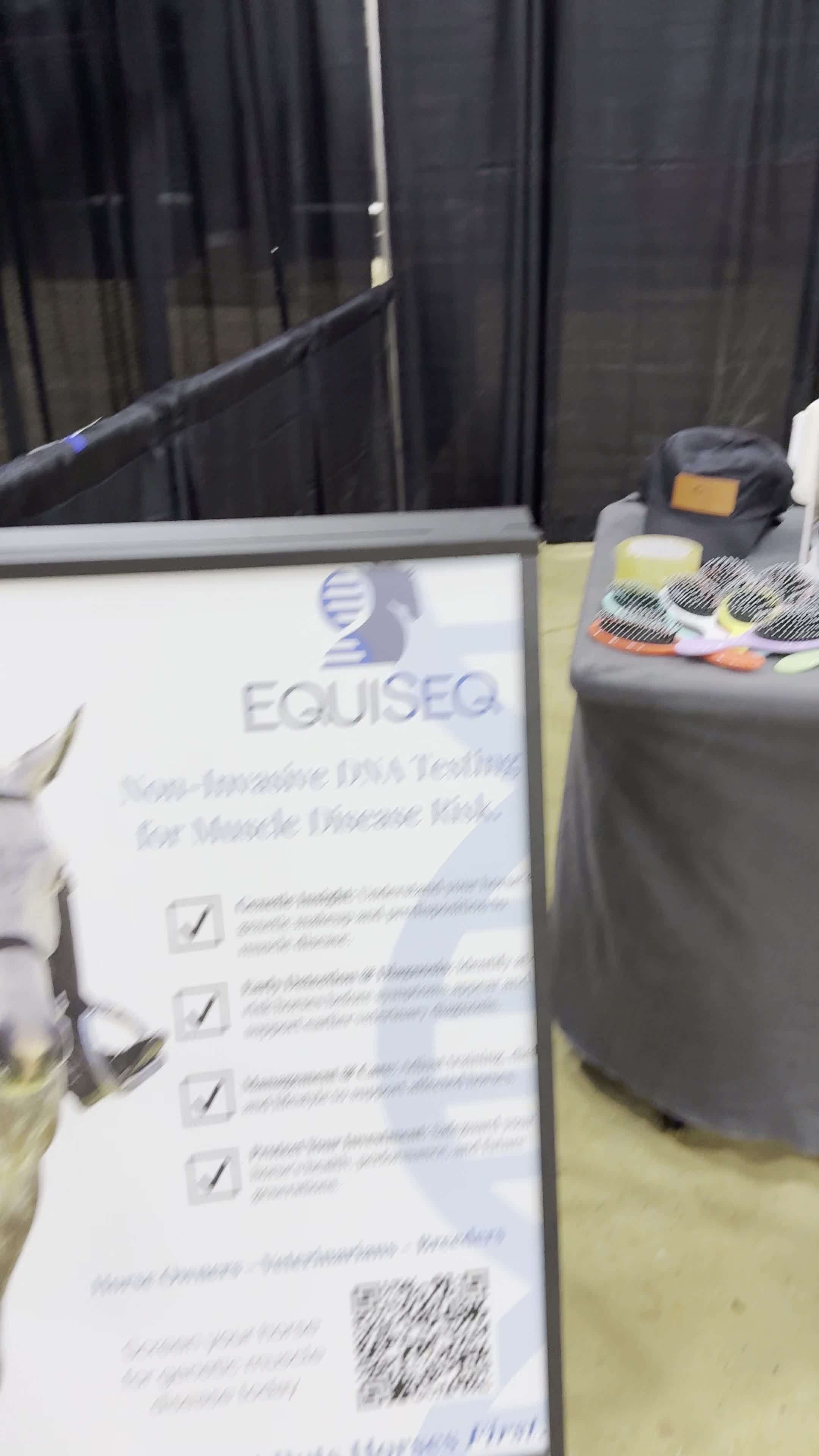 Equestrian Graphic Design, Logos, & Branding | Marketing & Advertising