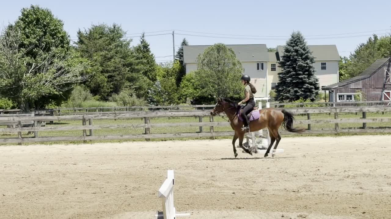 Dyblu Tiny | 2021 | 13.1h | Welsh Pony | Gelding