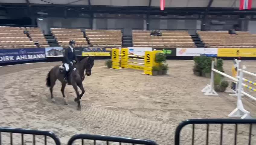 Kanyan | 2016 | 17h | Oldenburg | Gelding