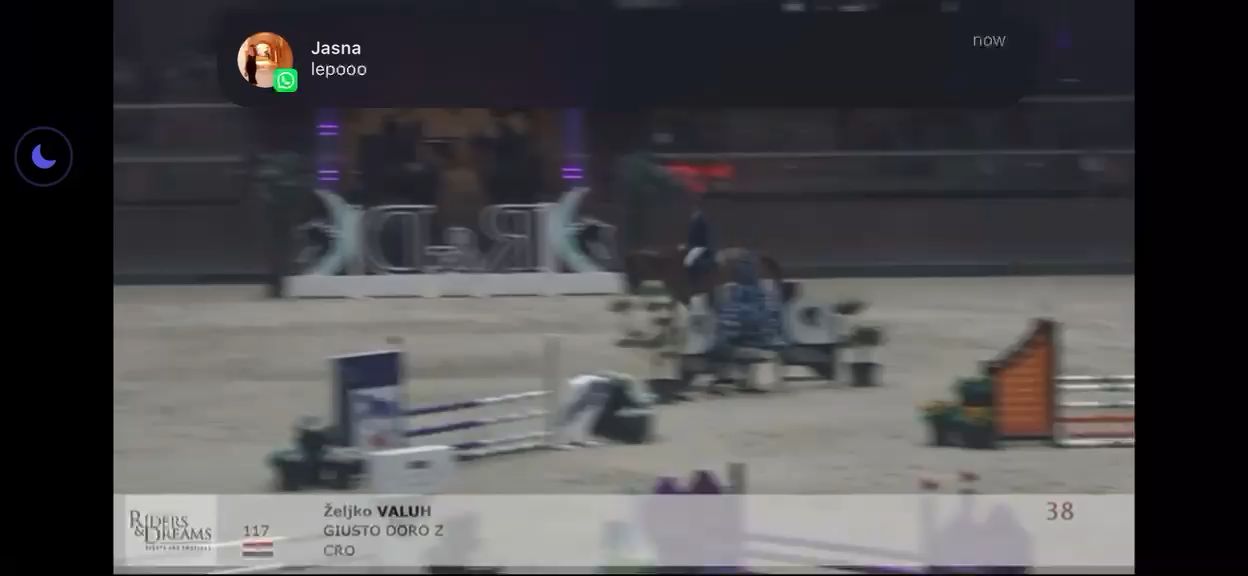 Giusto D’oro Z | 2019 | 17.2h | Zangersheide | Gelding